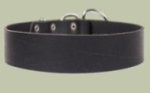 2 inch wide All Weather Collar for Pitbull -Leather Collar