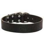 Smoothed Leather Pitbull Collar 1.5 inch (3.8cm) width