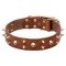'Hard Rock' Wide Leather Collar with Brass Spikes and Skulls