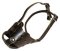 Latigo Safety Muzzle for Pitbull