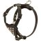 Stylish Studded Leather Harness for Pitbull Puppies