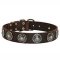 Designer Leather Dog Collar for American Pit Bull Terrier