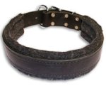 BUY 1.5 inch Leather Collar for Pitbull
