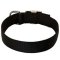 Wide Nylon Dog Collar for Pitbull-1.5 inch wide