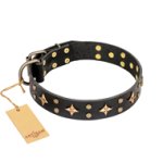 'A La Mode' FDT Artisan Handcrafted Black Leather Pitbull Collar