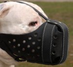 Pitbull Training or Agitation dog Muzzle - Leather Muzzle