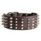 2 inch Leather Pitbull Collar with Studs and Spikes