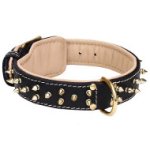 New Fashioned Leather Pitbull Collar with Goldish Rows of Spikes