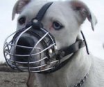 High quality dog muzzle for Pitbull-Wire Muzzle for PITBULLS