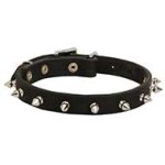 Spiked Dog Collar - Fascinating Leather Dog Collar for Pitbulls