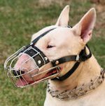 English Bull Terrier Wire Basket dog muzzle- best dog muzzle