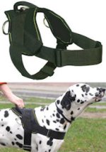 Best Dog Training Harness for PITBULL- Nylon Harness w/h handle