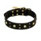 FDT Artisan 'Heavy Metal' Leather Pitbull Collar with Skulls and Half-Balls 1 1/2 inch (40 mm)