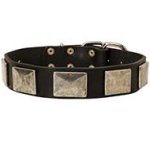 Handcrafted Leather Pitbull Collar with Vintage Massive Plates