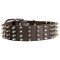 2 inch Wide Leather Spiked Dog Collar for Pitbull