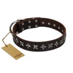"Stars of Glory" FDT Artisan Brown Leather Pitbull Collar for Comfortable Walking