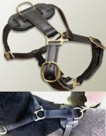 Easy of Use Leather tracking harnesses for Pitbull