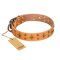 'Top-Flight' FDT Artisan Adorned Tan Leather Pitbull Collar