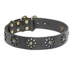 'Spring mood' Leather Collar for Pitbull Stylish Walking