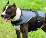 Vest Dog Harness - Weatherproof Nylon Dog Harness with Handle