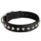 Gorgeous Wide Nylon Dog Collar with Nickel-plated Pyramids