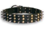 PITBULL Studded Black dog collar 20 inch/20'' collar - S59