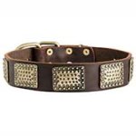 New Leather Dog Collar with Vintage Brass Plates For Pitbull