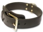 Heavy 2-Ply leather dog collar for Pitbull
