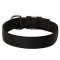 Durable Nylon Pitbul Collar -Classic Most Popular Buckle Dog Collar