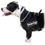 Search and Rescue Nylon Dog Harness with Heavy-Duty Convenient Handle