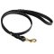 Handcrafted Leather Pitbull Leash with Brass Snap Hook and Decorative Braiding