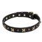'Four Cornered Stars' Leather Pitbull Collar with Gold-like Decoration