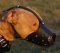 American Pit Bull Terrier Everyday Leather Dog Muzzle