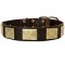 Showy Leather Dog Collar with Large Brass Plates