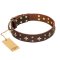 'High Fashion' FDT Artisan Embellished Brown Leather Pitbull Collar