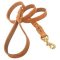 Soft Premium Leather Leash with Braided Ends for Pitbull