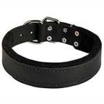 Best Padded Leather Dog Collar - 1.5 inch (4.0 cm) Width