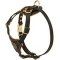 Walking Leather Dog Harness Of Fashion Design For Pitbull Puppies And Small Dog Breeds