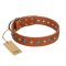 "Natural Beauty" FDT Artisan Tan Leather Pitbull Collar with Shining Silver-like Studs