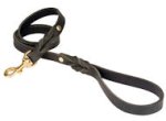 Looking for PETCO Twisted Leather Lead for Pitbull?