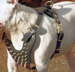 Deluxe Spiked Leather Harness for Pitbull