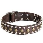 High Quality Leather Pitbull Collar with Pyramids and Studs