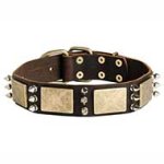 Gorgeous War Design Dog Leather Collar