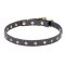 Studded Leather Narrow Collar with Brass Stars for Pitbull