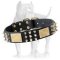 Best Spiked Leather Dog Collar-brass massive plates& nickel spike, cone