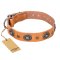 "Twinkle Twinkle" FDT Artisan Incredible Studded Tan Leather Pitbull Collar