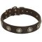 Leather Dog Collar with Silver Conchos