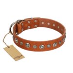 "Gorgeous Roundie" FDT Artisan Tan Leather Pitbull Collar with Chrome-plated Circles