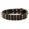 Best Studs and Spikes Leather Dog Collar