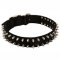 Black Colored Nylon Spiked Dog Collar - Custom Made Dog Collar With 2 Rows of Fancy Spikes